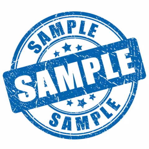 sample image